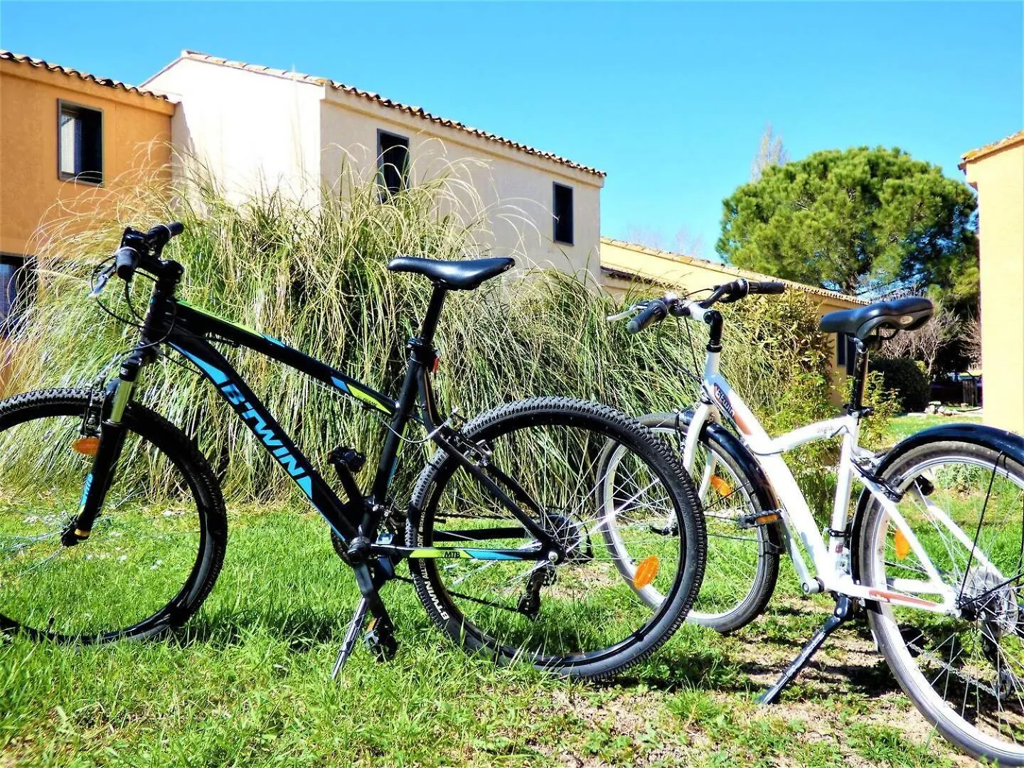 Vacances Pour Tous En Camargue Arles