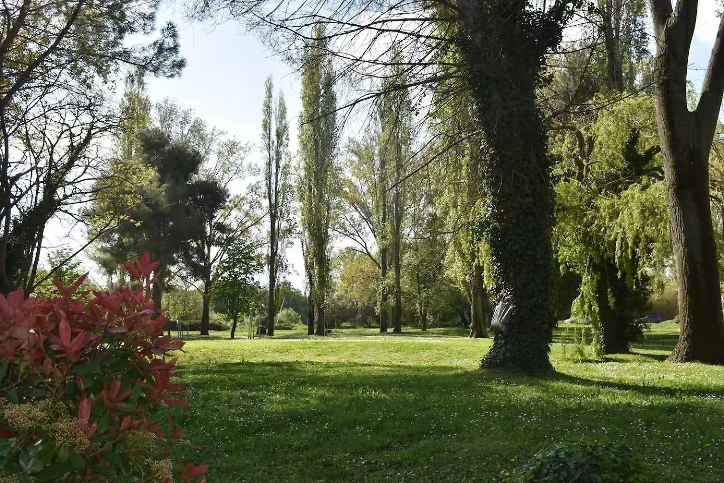 Vacances Pour Tous En Camargue Arles